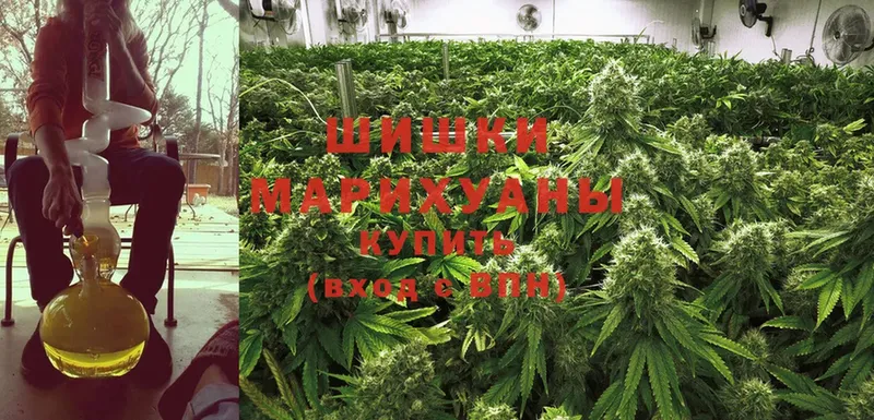 даркнет сайт  Пятигорск  Бошки марихуана Ganja 